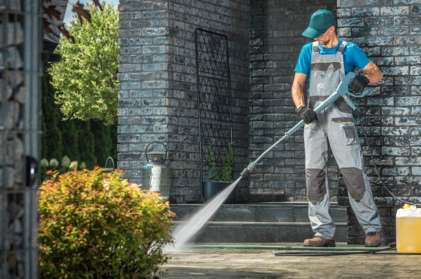 Best Solar Panel Cleaning  in Waverly, MI