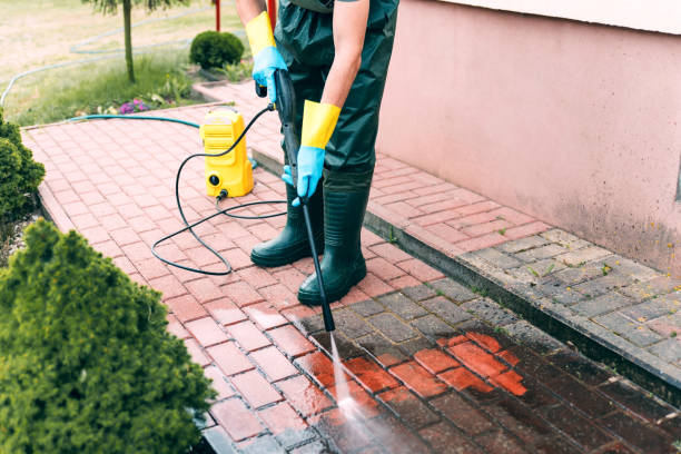 Best House Exterior Washing  in Waverly, MI